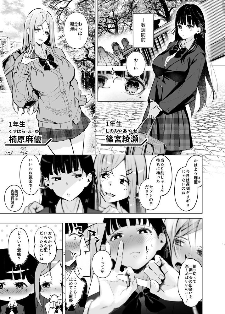 少子化対策で巨乳JKはセフレが必修科目です♪【聖華快楽書店】 エロ同人誌画像 004