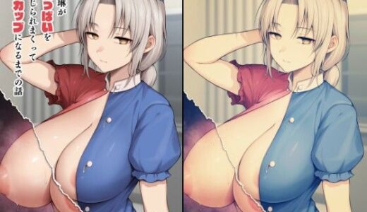 永琳がおっぱいをいじられまくってPカップになるまでの話【Circle Eden】