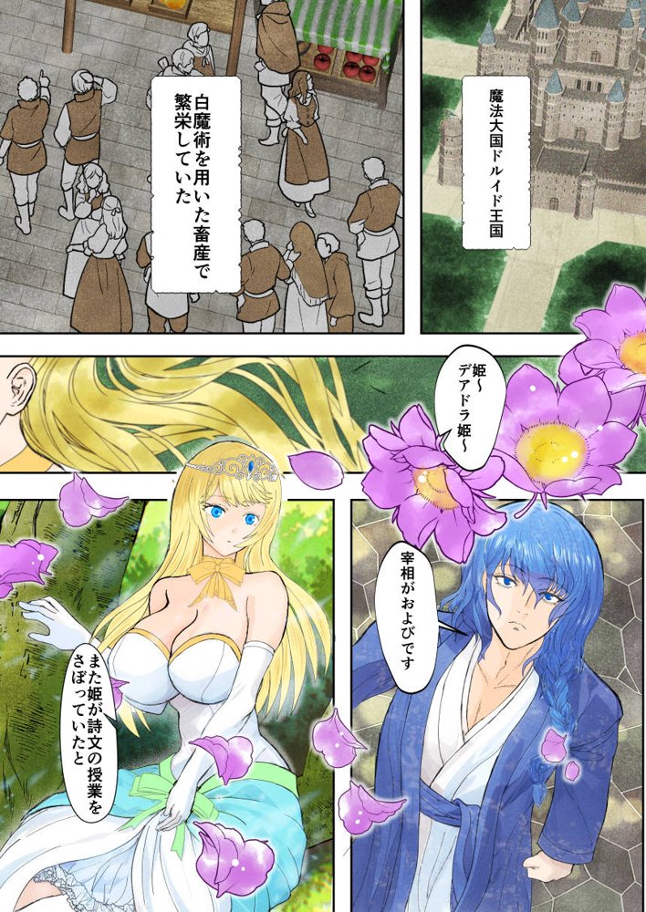 敗戦国ノ王女〜肉穴奴●の刻印〜【Killout】 エロ同人誌画像 001